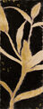 Image Not Available